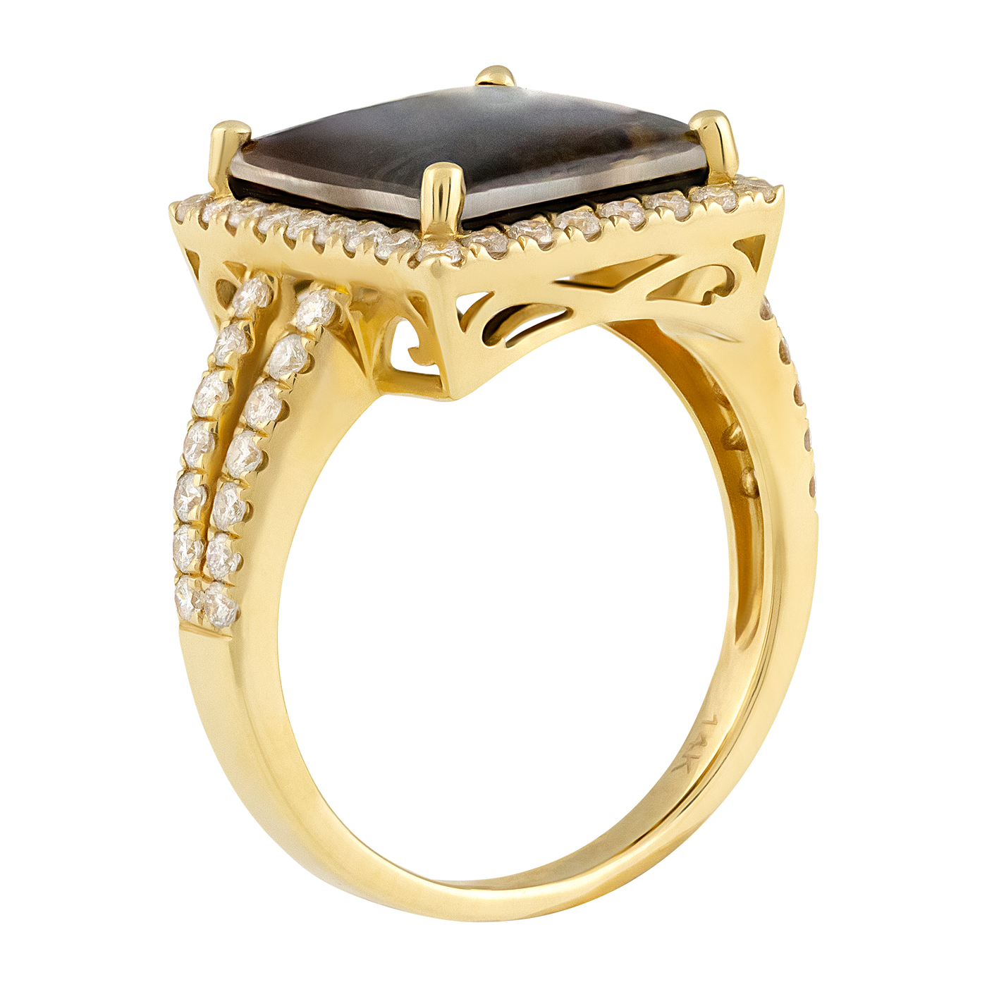 ECJ Collection 14K Yellow Gold Ammolite & Diamond Ring