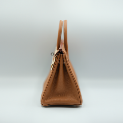 Hermes 2025 Birkin 25 Gold Togo with Palladium Hardware