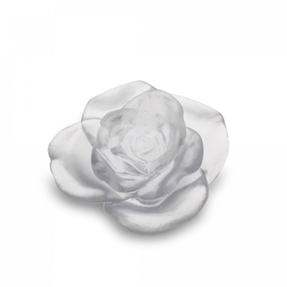 Daum Rose Passion Decorative Flower in White