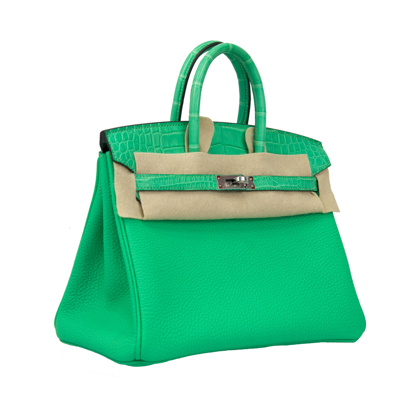 Hermes Birkin 25 Vert Comics Togo and Matte Alligator Touch with Palladium Hardware