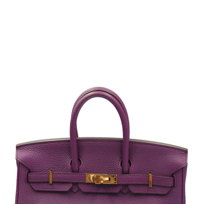 Hermes 2014 Birkin 25 Anemone Togo with Gold Hardware