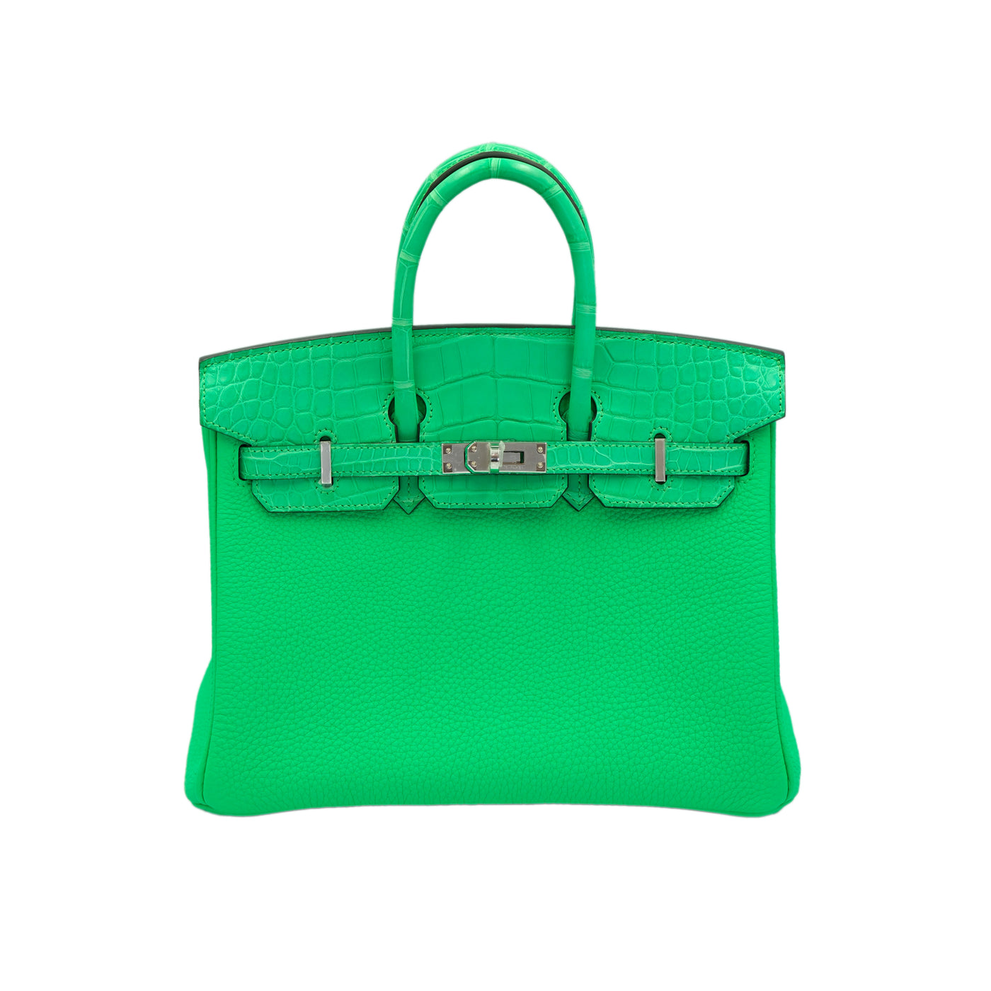 Hermes Birkin 25 Vert Comics Togo and Matte Alligator Touch with Palladium Hardware