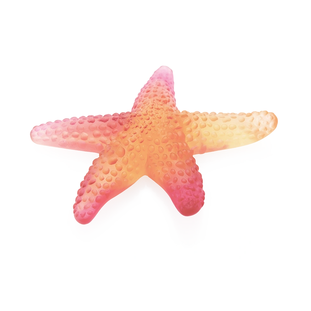 Daum Coral Sea Amber Red Starfish